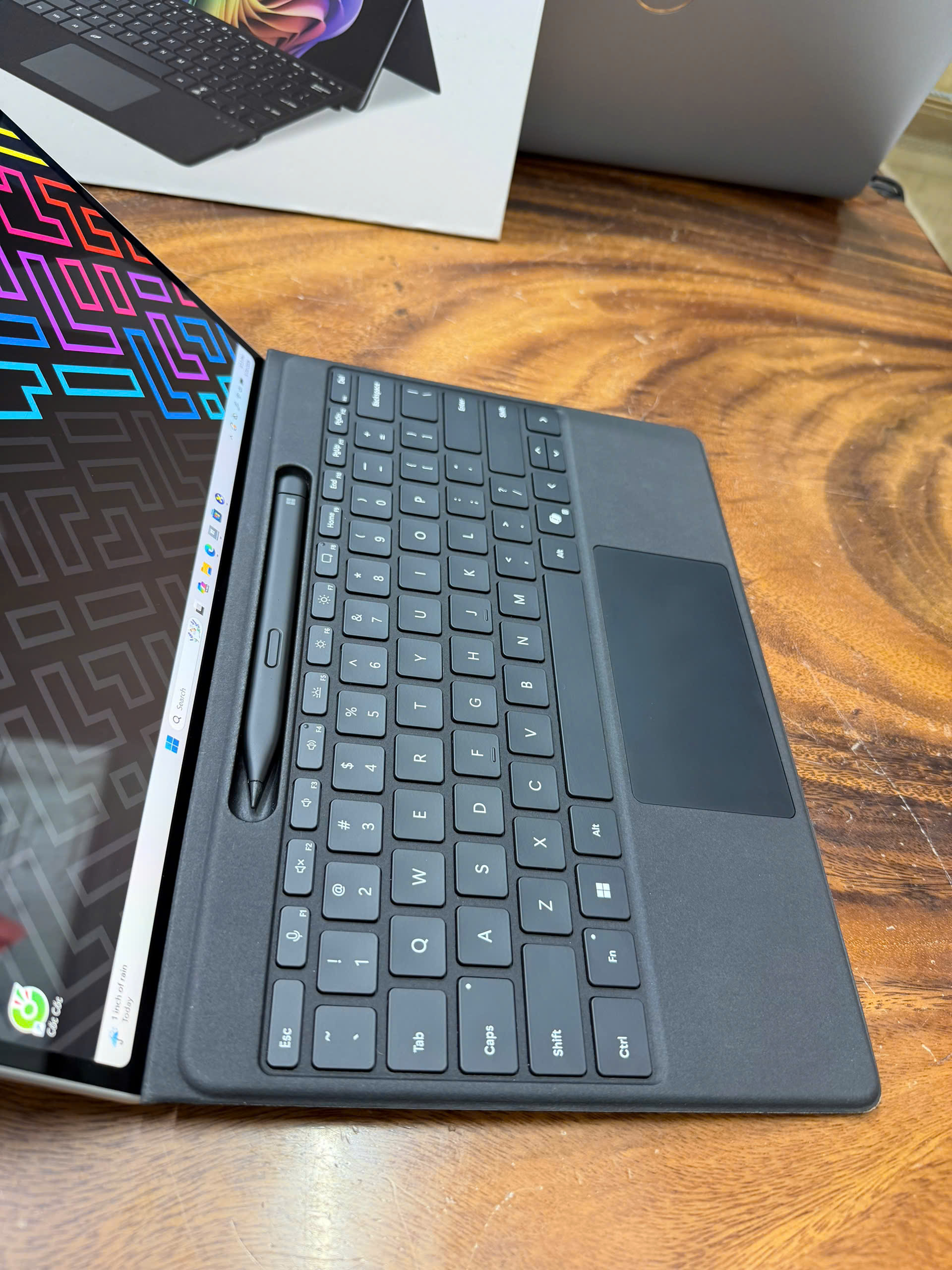 Surface Pro 10 (10)
