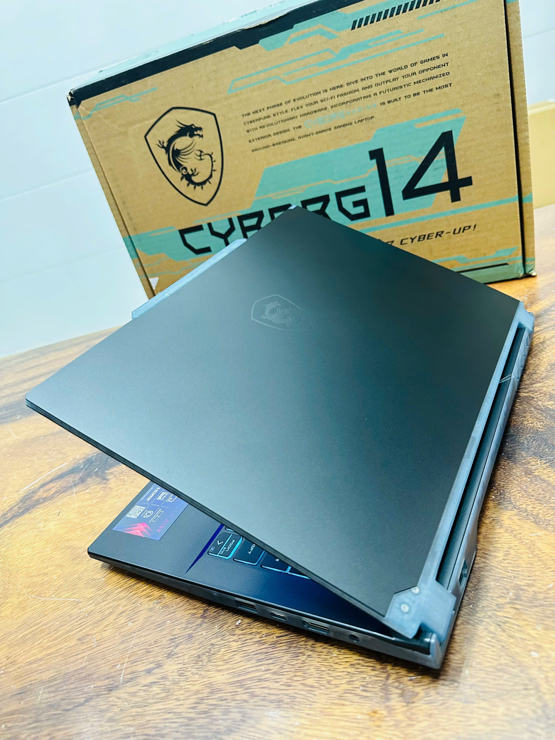 Msi Cyborg 14 A13vf (7)