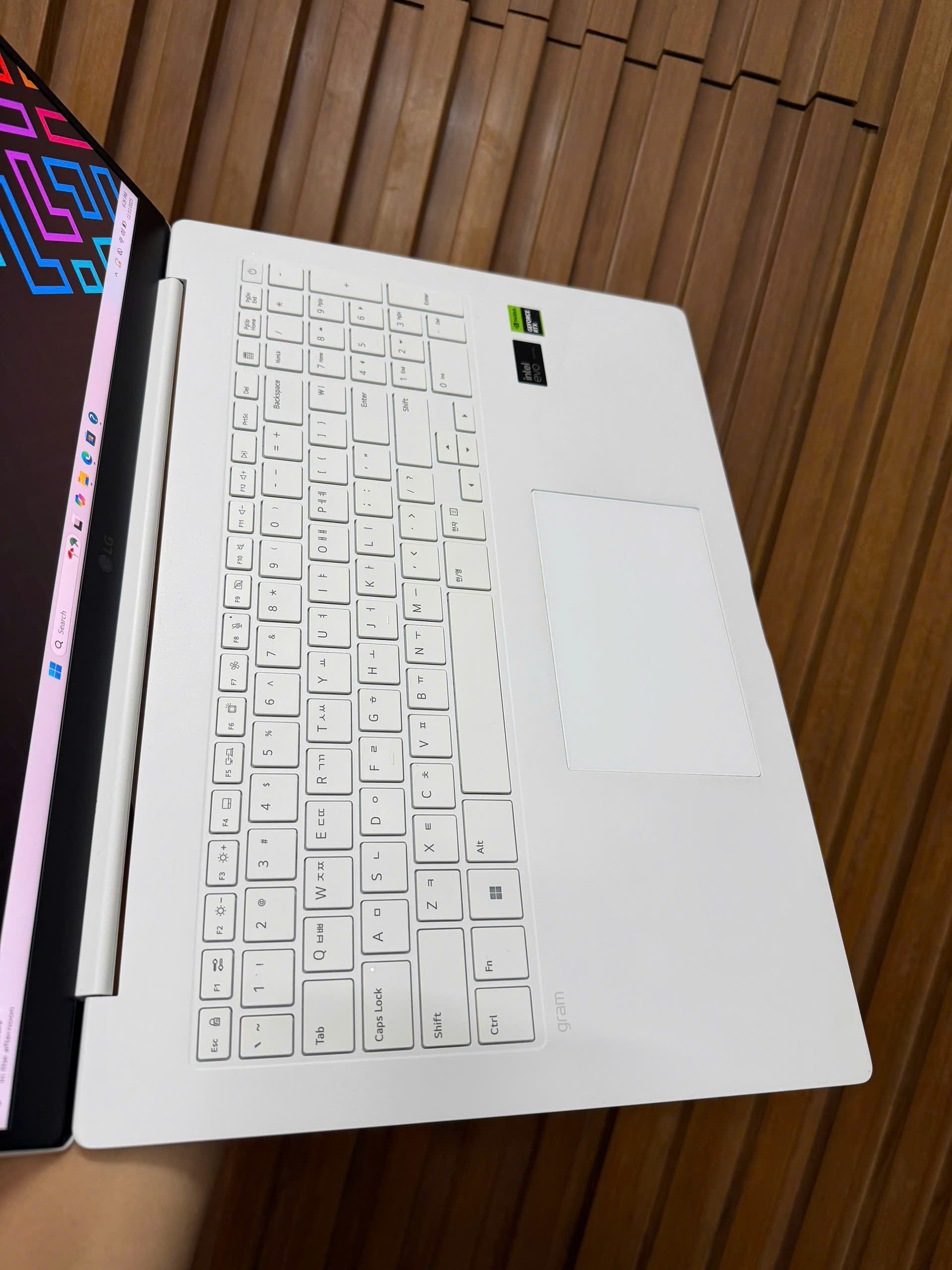 Lg Gram Pro 17z90sp (4)